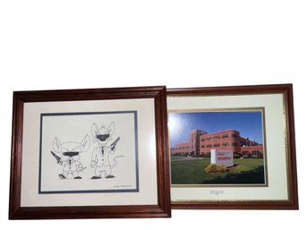 Osram Sylvania Photo & Pinky And The Brain Print (lr)