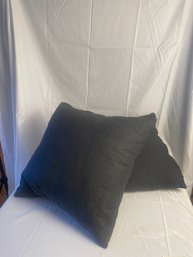 Two Linen Pillows