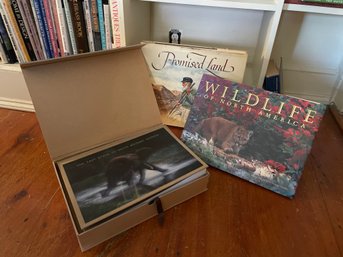 Wildlife Of No America, Promised Land, The Last Place On Earth (l)