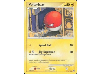 POKEMON Secret Wonders Voltorb