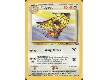 POKEMON Rare Jungle Pidgeot (24)