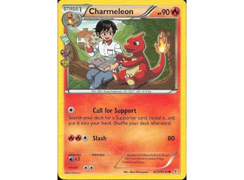 POKEMON  Generations: Radiant Collection Charmeleon
