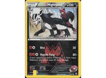 POKEMON  Double Crisis Team Magma's Mightyena