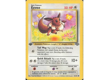 POKEMON 1ST EDITION! Jungle Eevee