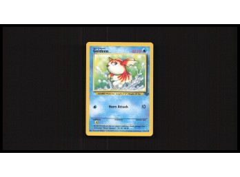 POKEMON  Jungle Goldeen