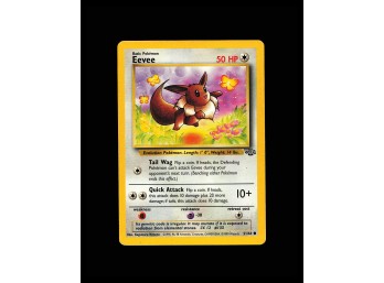 POKEMON  Jungle Eevee