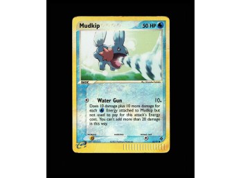 POKEMON  Dragon Mudkip