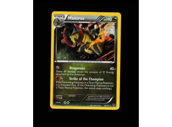POKEMON Promo,Holo Blister Exclusives Haxorus