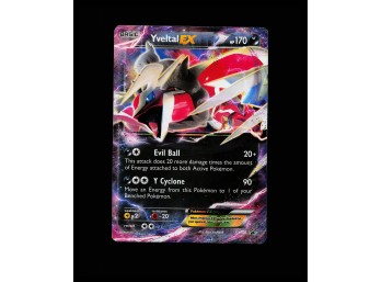 POKEMON Promo,Holo XY Promos Yveltal EX