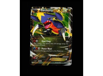 POKEMON Promo,Holo XY Promos Garchomp EX