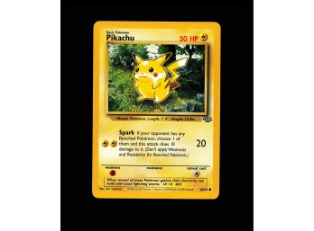 POKEMON Jungle Pikachu