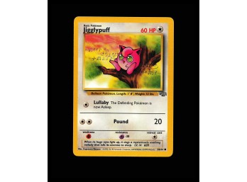 POKEMON  Jungle Jigglypuff