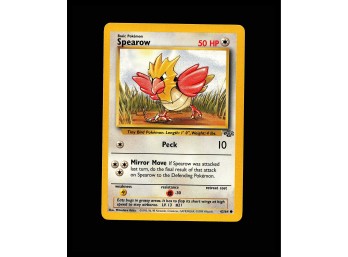 POKEMON  Jungle Spearow