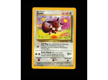 POKEMON  Jungle Eevee