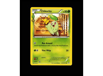 POKEMON  Generations: Radiant Collection Chikorita