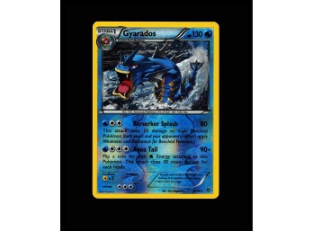 POKEMON Rare XY - Ancient Origins Gyarados (20)