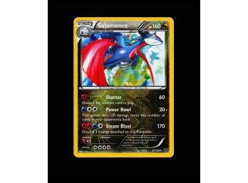 POKEMON Holo Rare,Holo XY - Roaring Skies Salamence