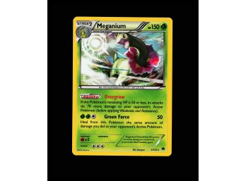 POKEMON Promo,Holo Blister Exclusives Meganium