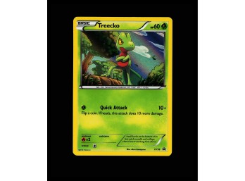 POKEMON Promo,Holo XY Promos Treecko