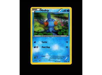 POKEMON Promo,Holo XY Promos Mudkip