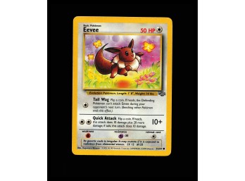 POKEMON  Jungle Eevee