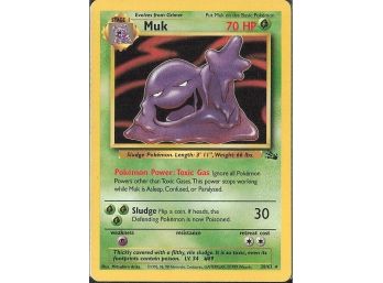 Rare Fossil Muk (28)