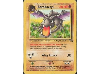 Rare Fossil Aerodactyl (16)