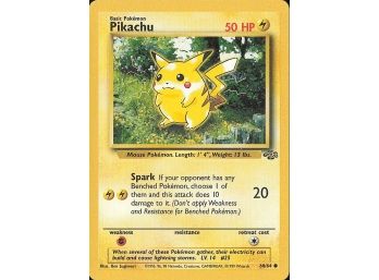 Common Jungle Pikachu