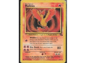 Rare Fossil Moltres (27)