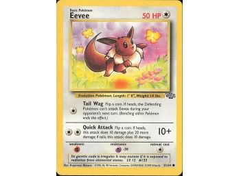 Common Jungle Eevee