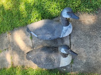 Canada Goose Floating Hunting Decoys - Pair