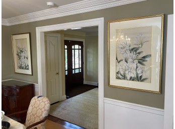 Pair Of Large Botanical Prints