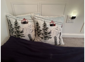 Pair Of Ski Themed Throw Pillows And One Long Yoga Pillow In Navy