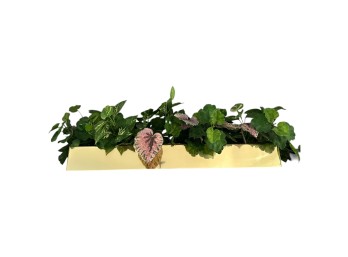 Accessories - Planter - Trough Style