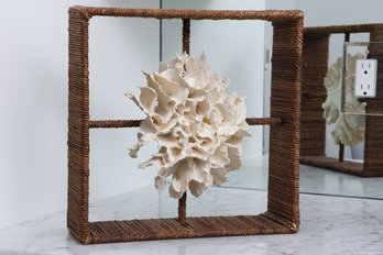 Coral Shadowbox
