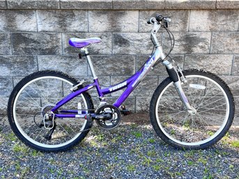 Mountain Track 220 Purple Bicycle