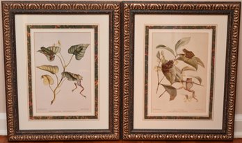 2  Framed Botanical And Zoological Prints