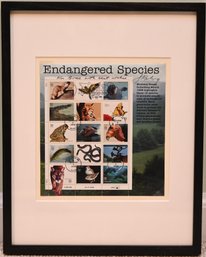 'Endangered Species,' Issued By The United States Postal Service (USPS) In 1996.