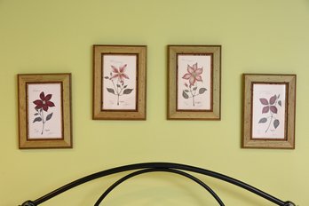 Four Framed Limited Edition Botanical Prints By Syndi