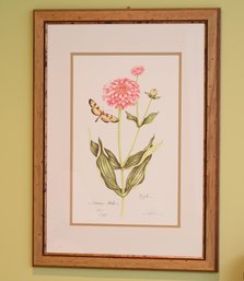 Pair Of Botanical Prints
