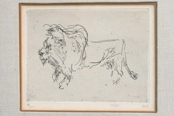 Lion Etching By Eichel, Pencil Signed And Numbered 2/50