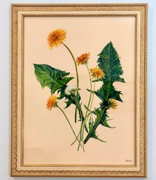 Fresh Dandelions Framed Print