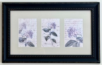 Hydrangea Framed Print
