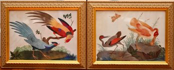 Carlo Raineri Pair Of Framed Exotic Bird Framed Prints