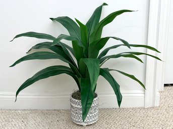 Dracaena Artificial Plant In Black & White Pot