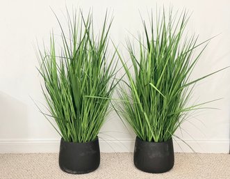 Pair Of Artificial Grass Plants In Dark Containers