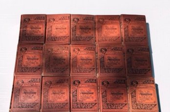 Charles Dickens Works Illustrated 15 Book Set