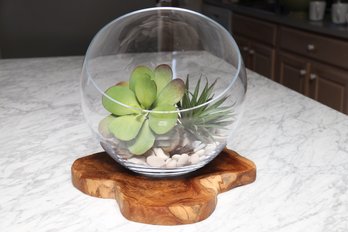Fake Plants In Glass Terrarium With Wood Base