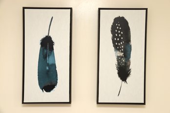 Pair Of Framed Feather Prints