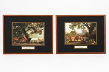 Pair Of Framed George Stubbs Horse Prints
